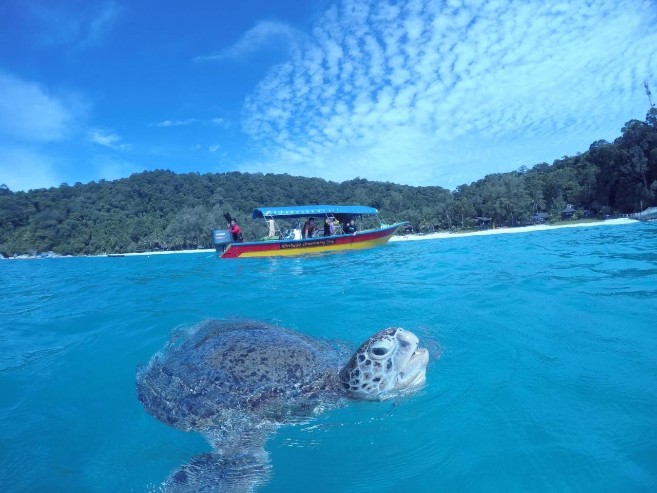 Ombak Dive Resort Perhentian Island Pulau Perhentian Kecil Buitenkant foto